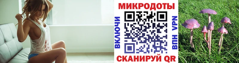 darknet формула Бабаево Псилоцибиновые грибы Cubensis