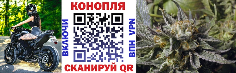где купить наркотик  Бабаево  Каннабис White Widow 